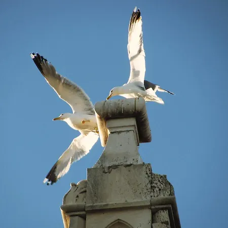 Lejlighed Filipo Trogir